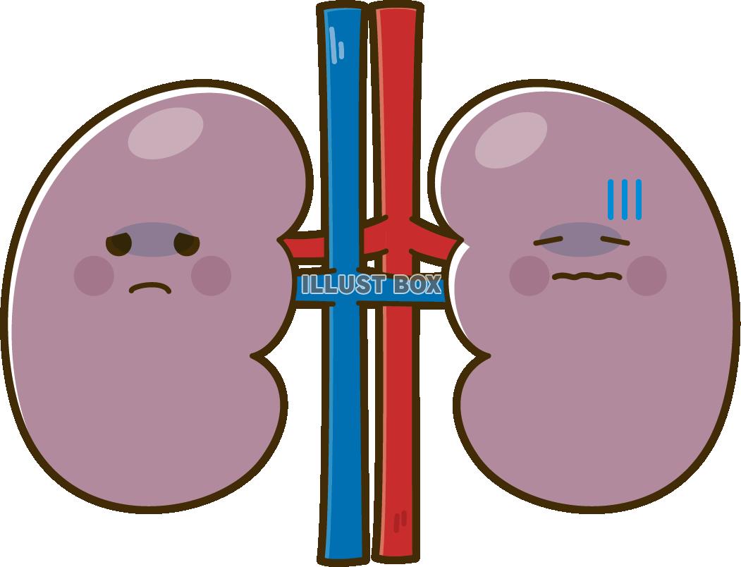 不健康な腎臓のキャラクター
