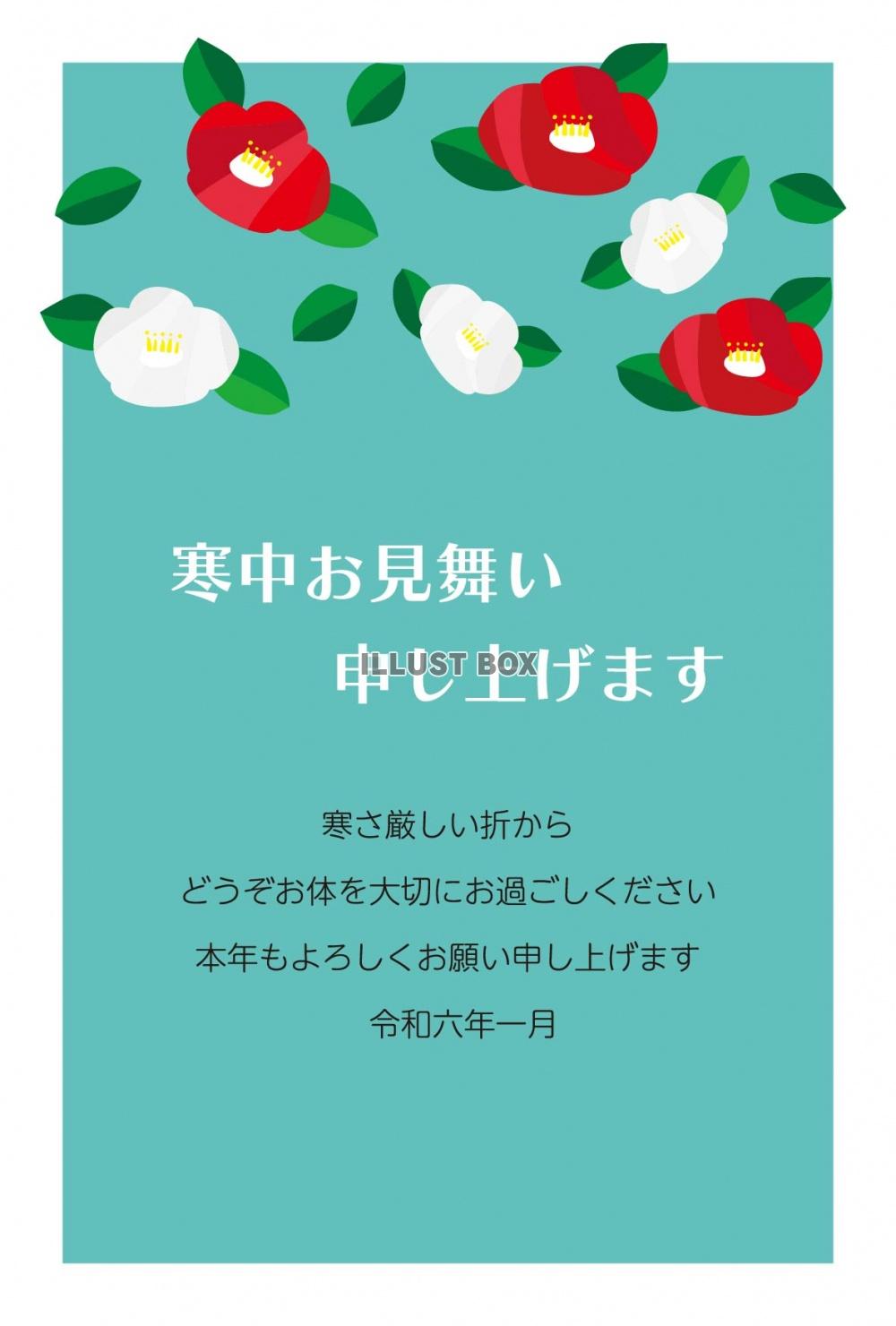 寒中お見舞いはがきK19　青背景に寒椿　挨拶文ありなし
