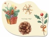 冬のボタニカルセット、クリスマス装飾植物