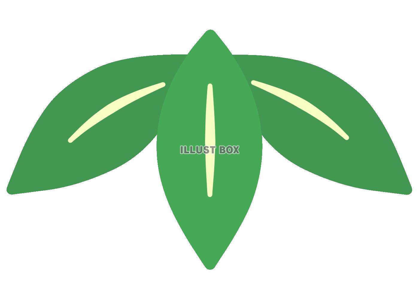 竹（葉）