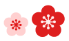 梅の花　透過png