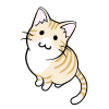 みあげる猫　茶トラ白猫