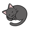 丸くなって寝る猫　黒猫