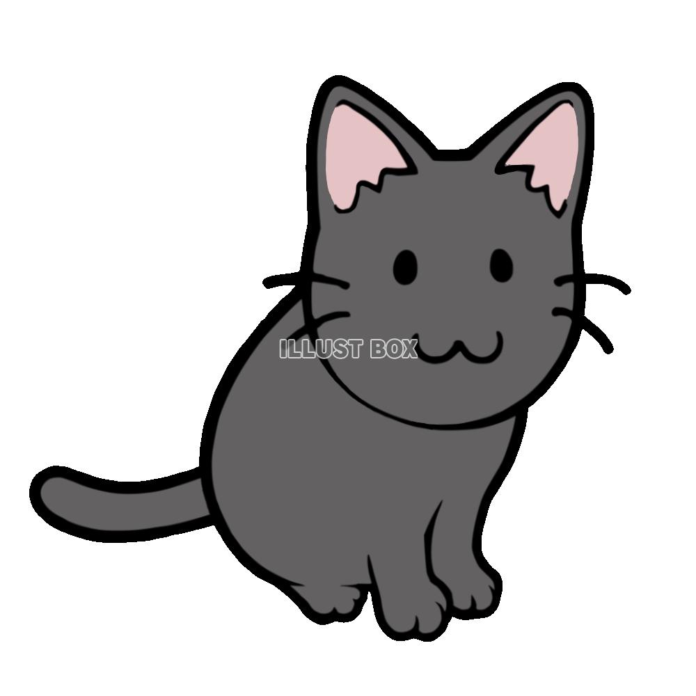 お座りする猫　黒猫