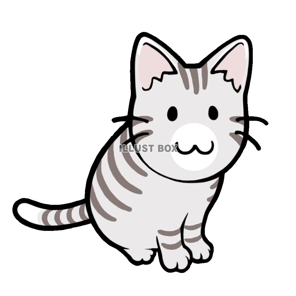 お座りする猫　サバ猫