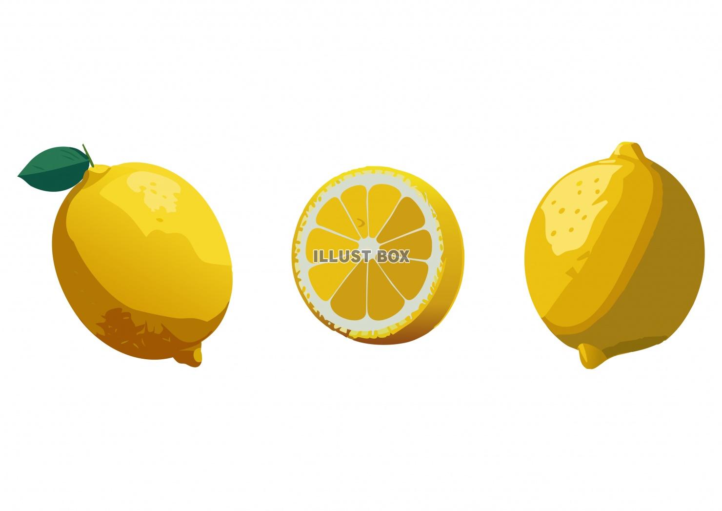 リアルなレモンのイラスト素材