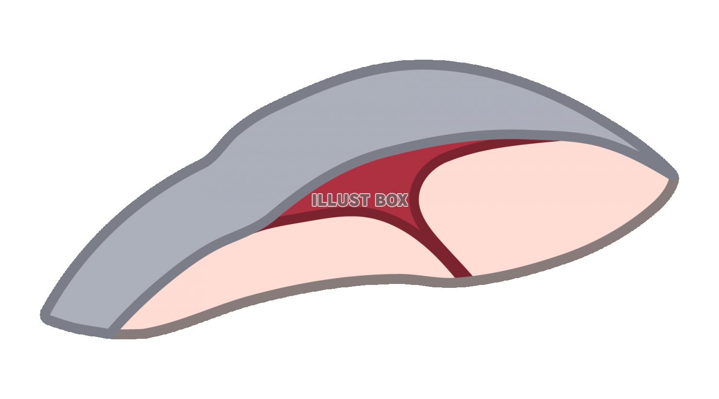 ブリの切り身のシンプルなイラスト
