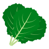 ケールのイラスト