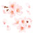 水彩の桜② お花見や卒業式に