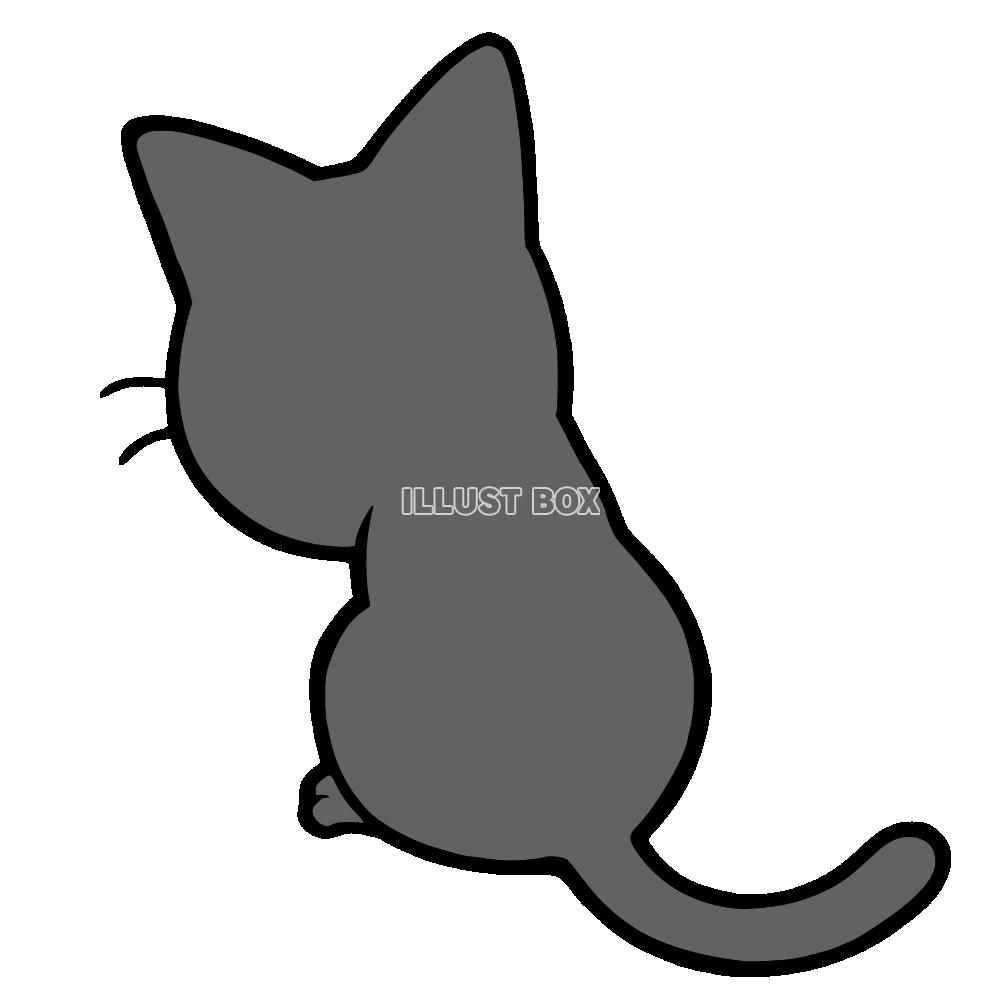 座っている後ろ姿の猫　黒猫