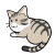 寝そべってふり向く猫　キジ白猫