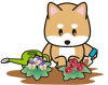 しばちゃんビオラを植える（透過PNG）