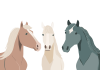 3頭の馬の北欧調イラスト