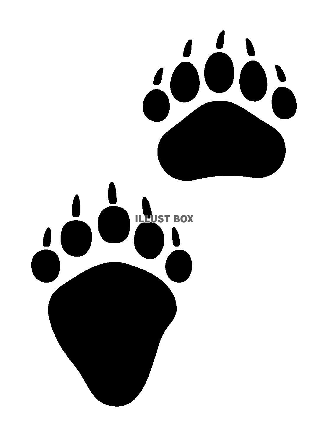 クマの足跡のイラスト