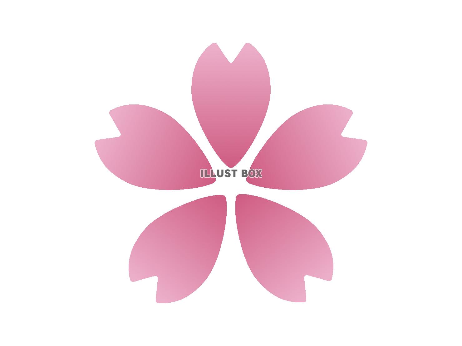 ピンクの桜の花びらのイラスト