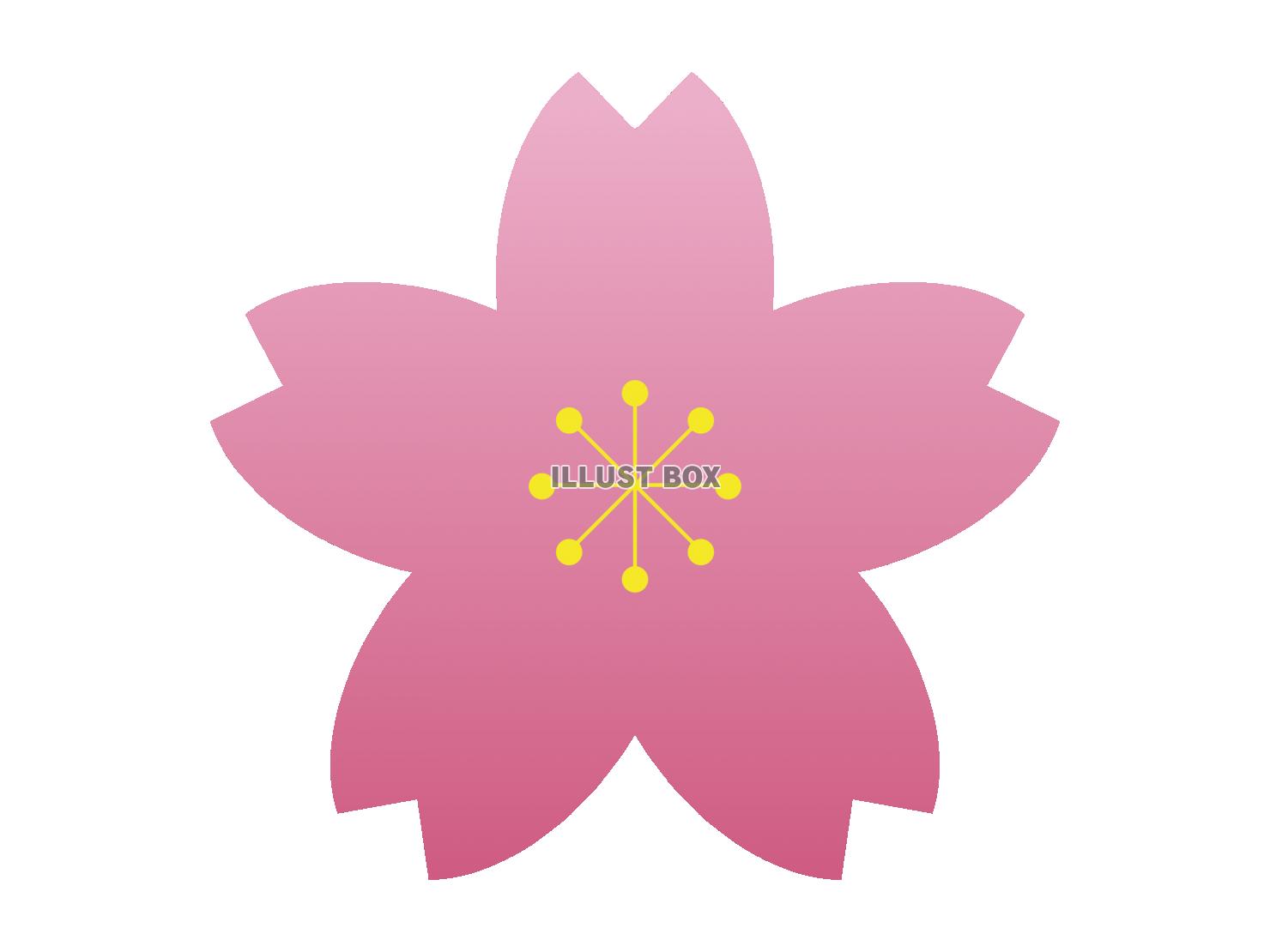 ピンクの桜の花びらのイラスト