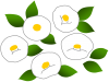 ツバキ（冬～春のお花）　白１