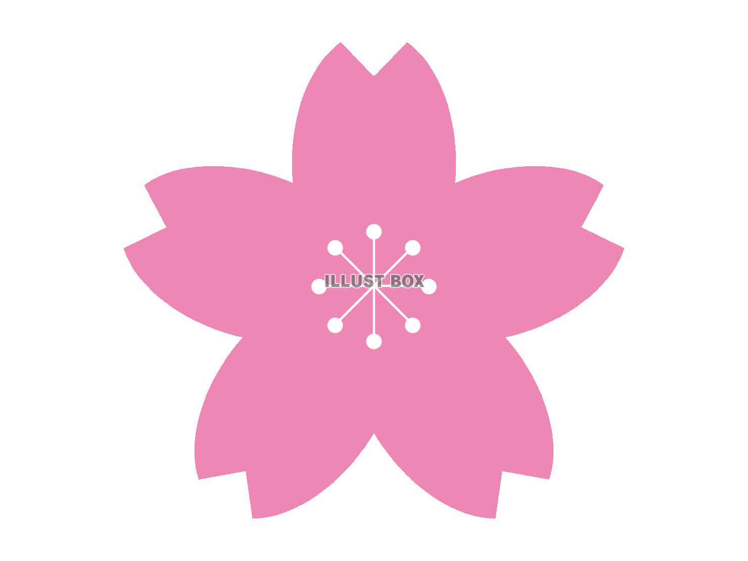 ピンクの桜の花びらのイラスト