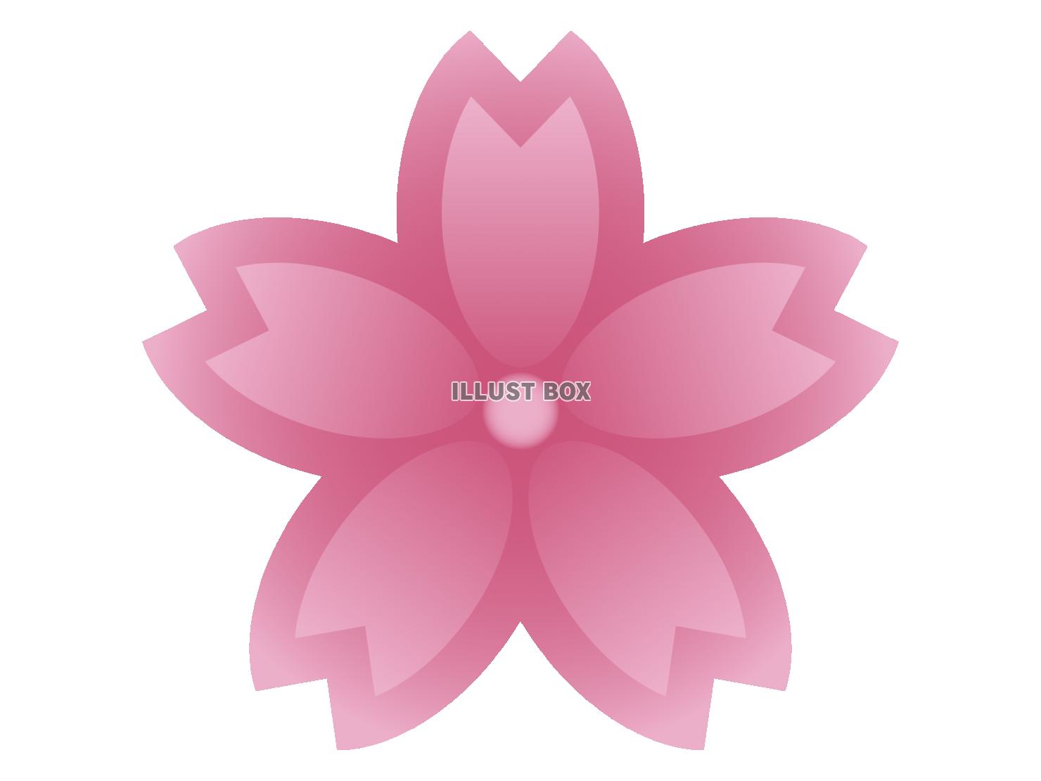 ピンクの桜の花びらのイラスト