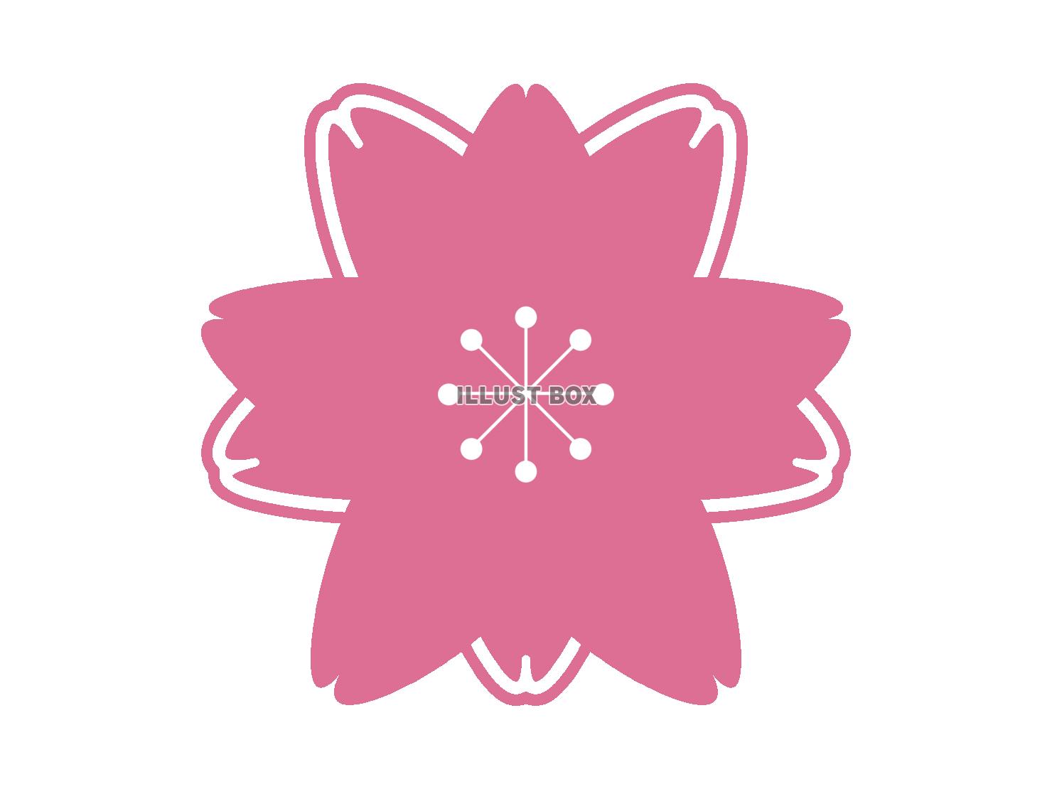 ピンクの桜の花びらのイラスト