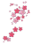 手描き水彩タッチの梅のワンポイントa