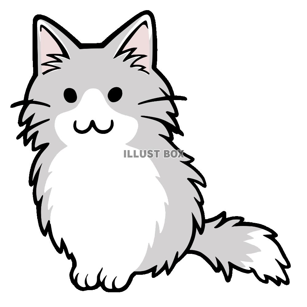 座っている長毛種の猫　グレー×白の猫