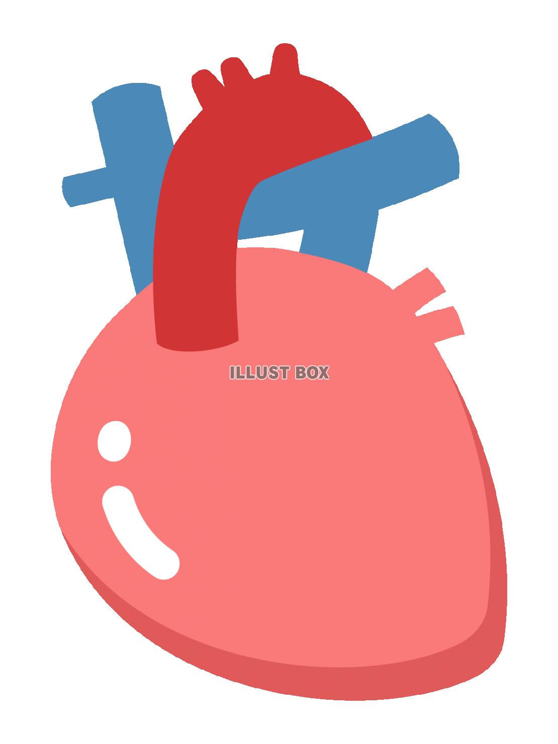 心臓のイラスト