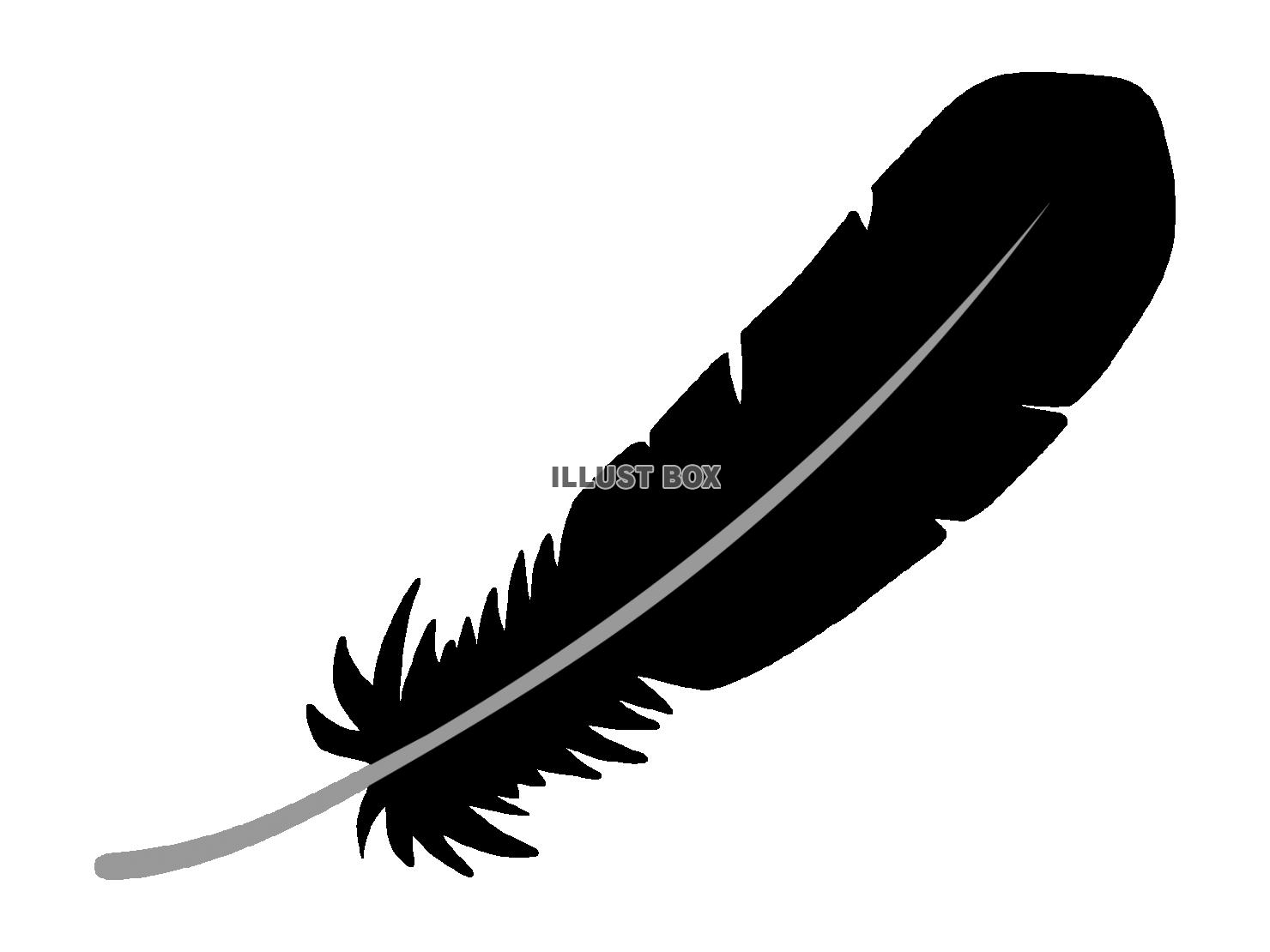 黒い羽根のイラスト