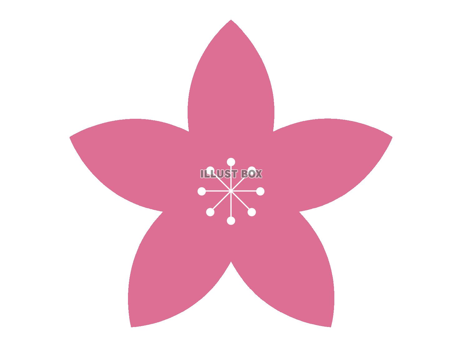 ピンクの桜の花びらのイラスト