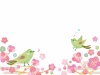 春の花_梅とうぐいすおやこ1