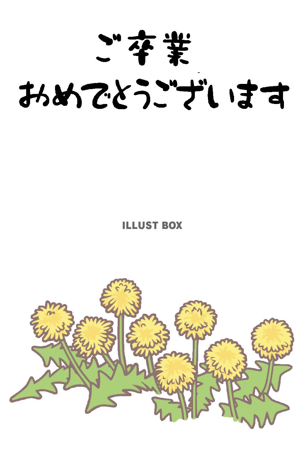 たんぽぽのイラスト入りのご卒業お祝いはがき　縦向き