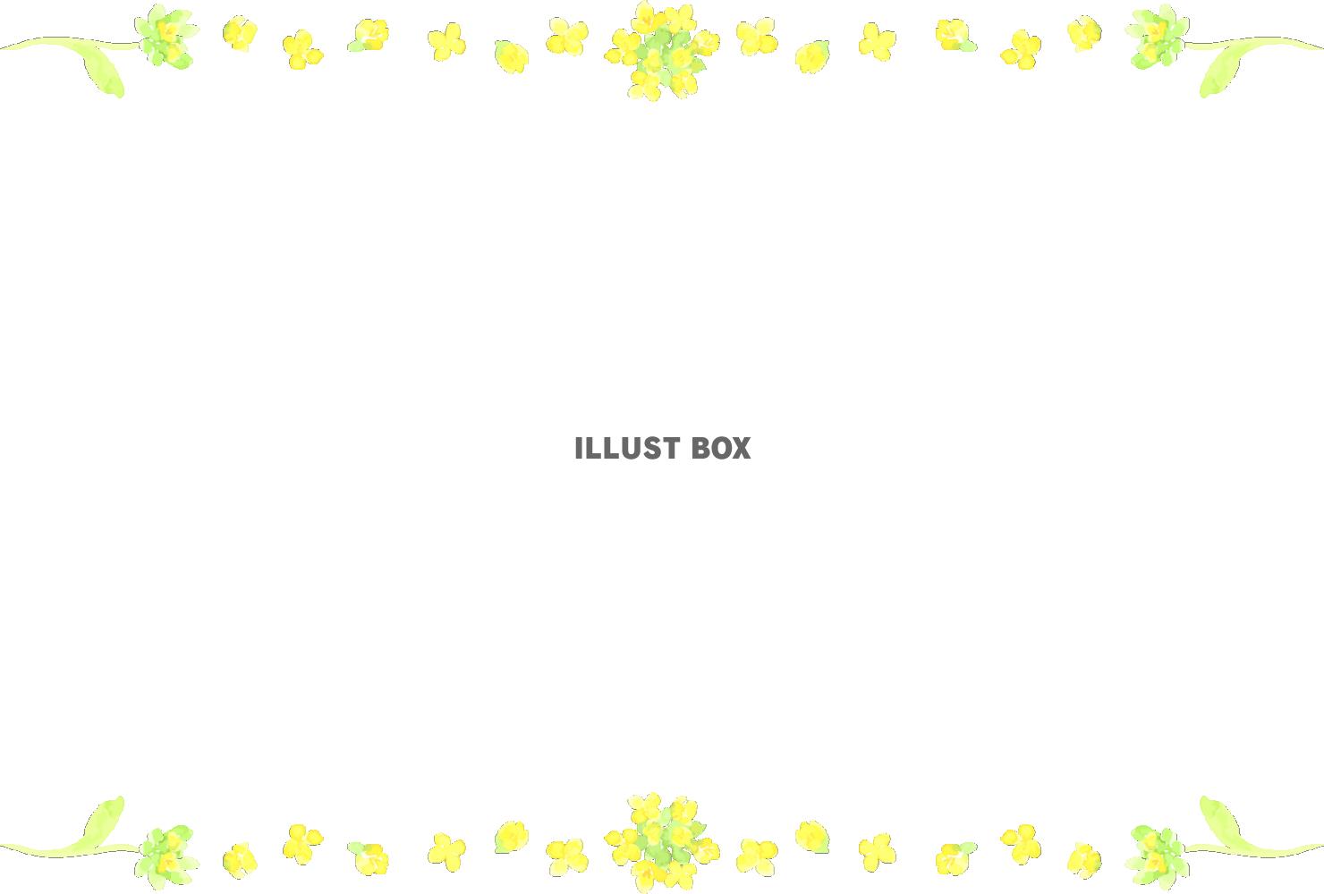  「菜の花シリーズ」フレーム1