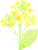 「菜の花シリーズ」イラスト３