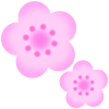 桃の花１－２