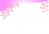 春のイメージのきれいな桜の花のフレーム