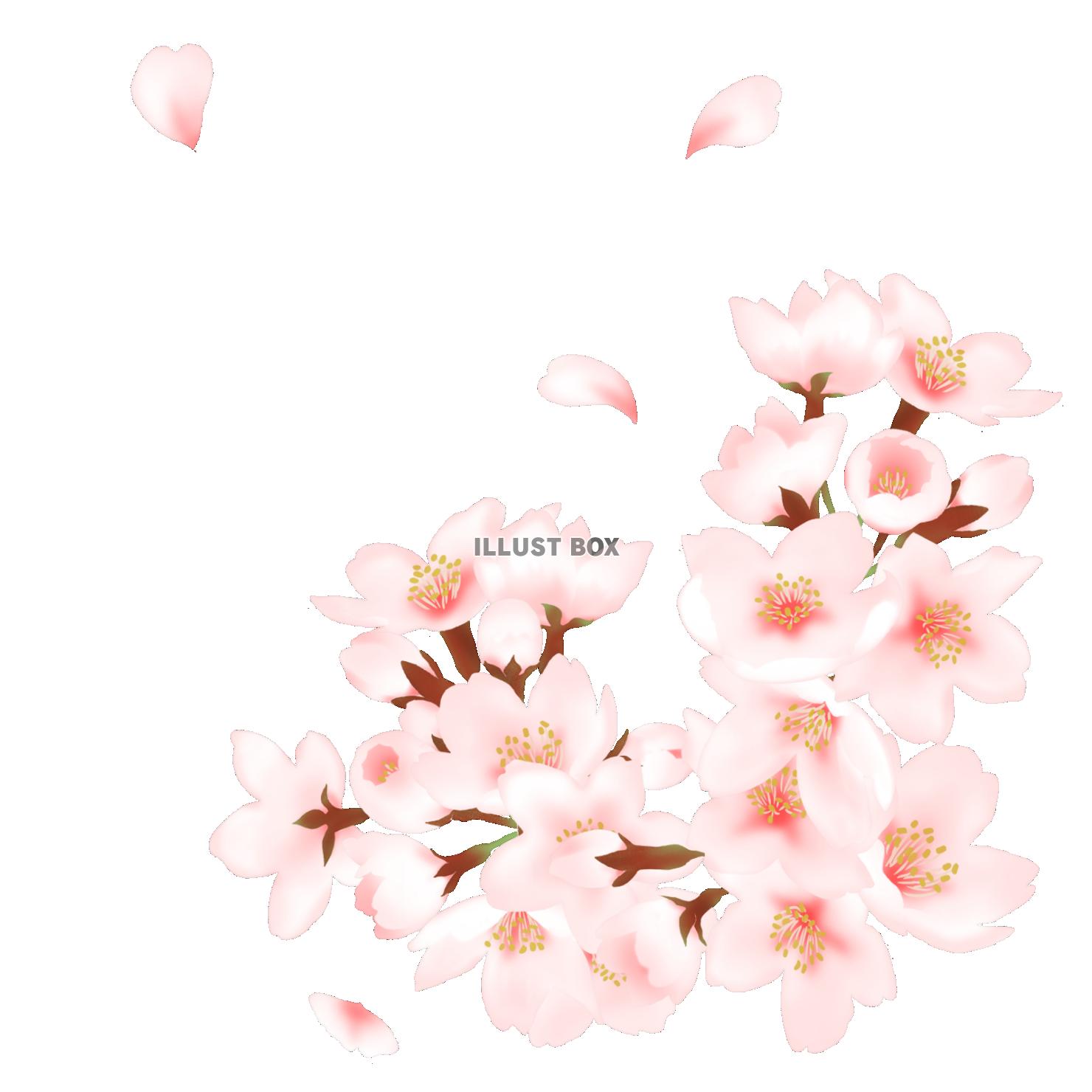 水彩の桜 ワンポイントフレーム