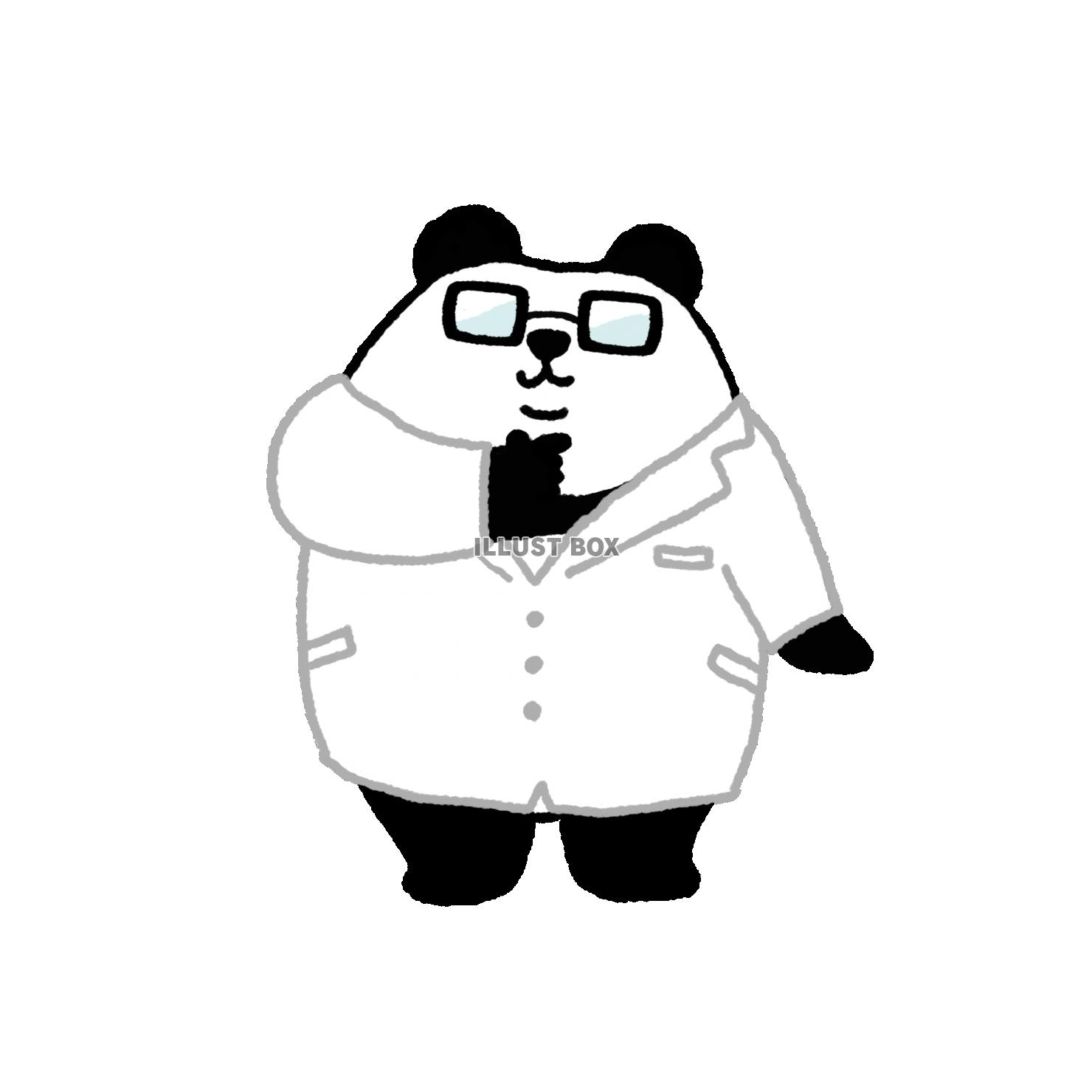 パンダシリーズ　考えるパンダ先生3