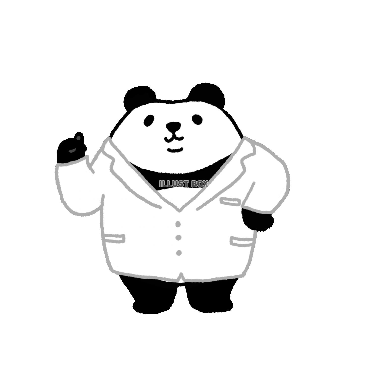 パンダシリーズ　ひらめくパンダ先生1