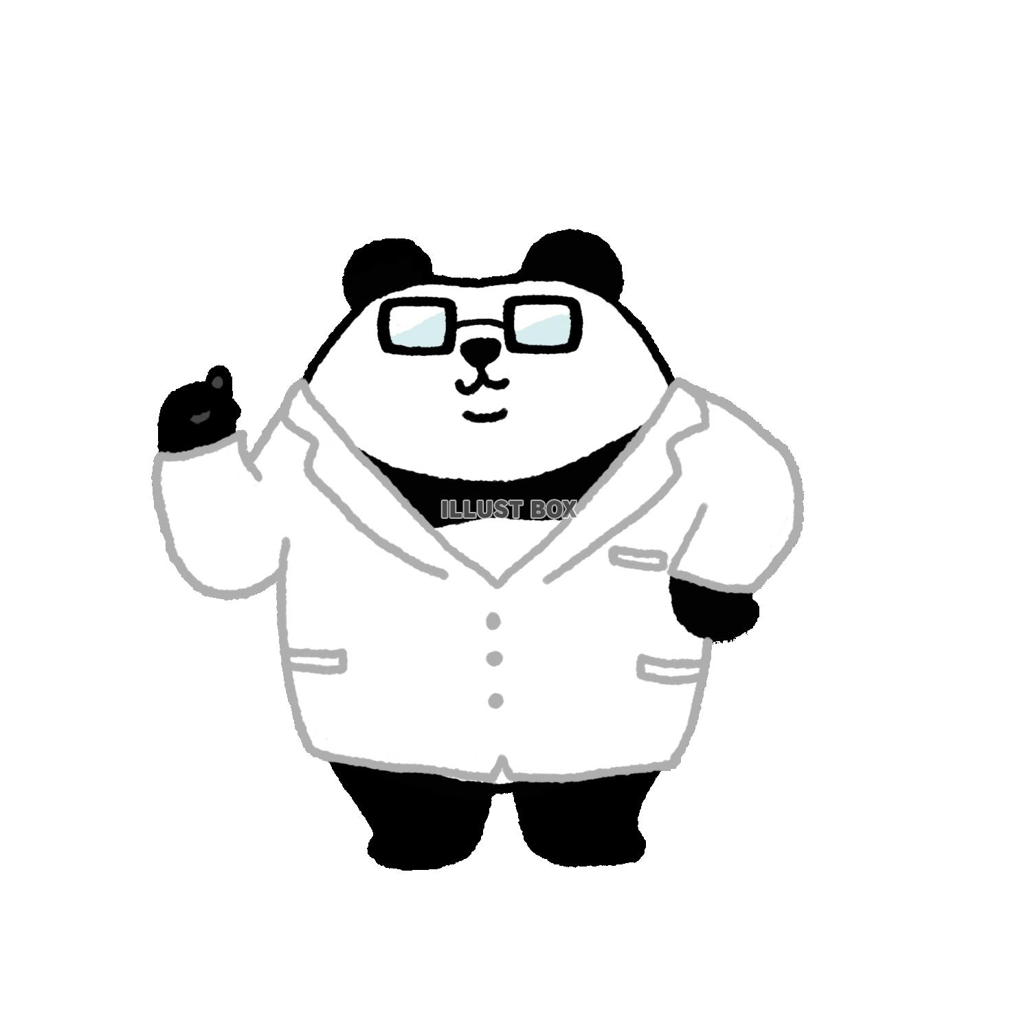 パンダシリーズ　ひらめくパンダ先生3