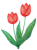 クレヨンで描いたチューリップの花模様イラストpng透過
