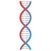 DNA