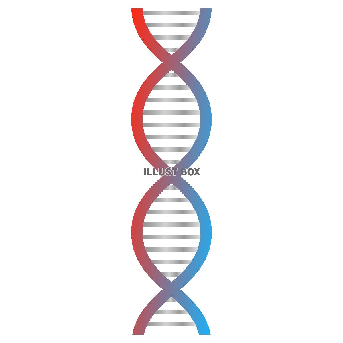 DNA