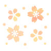 春の桜　透過png