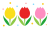 3色チューリップ　透過png