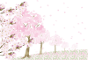桜吹雪の並木　横（透過PNG）ZIPのEPSはCS2版