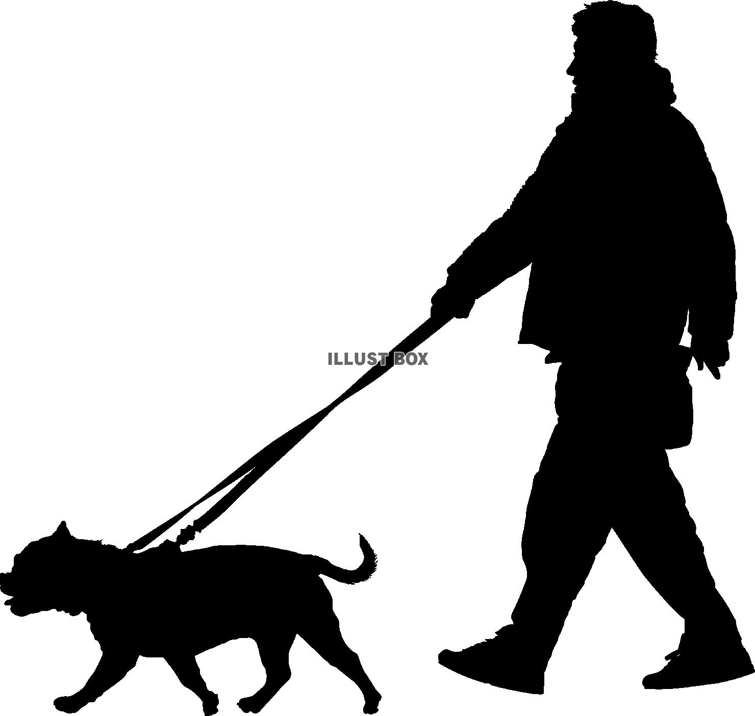 犬の散歩をする男性のシルエット