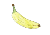 手書きのラフなバナナ