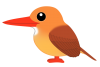 アカショウビン（日本の野鳥）透過PNG