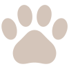 【肉球シルエット】１　ベージュ色　透過png
