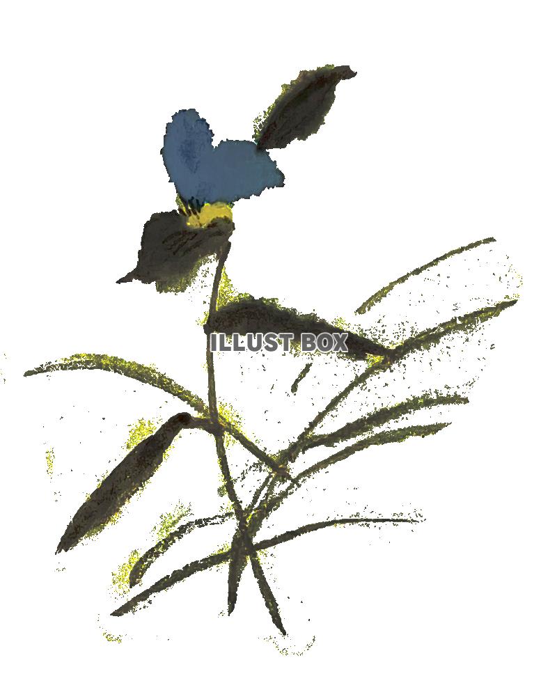 手書きのツユクサの花の水彩画